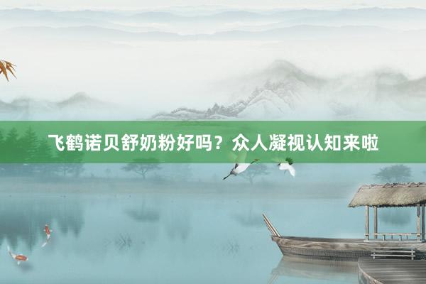 飞鹤诺贝舒奶粉好吗？众人凝视认知来啦