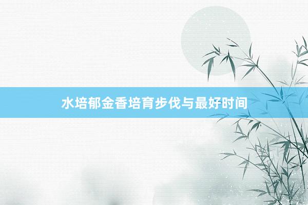 水培郁金香培育步伐与最好时间